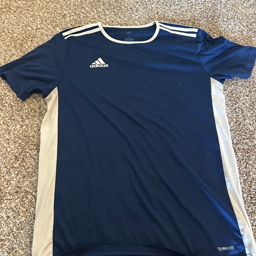Adidas Blue and Cream Climalite Tee